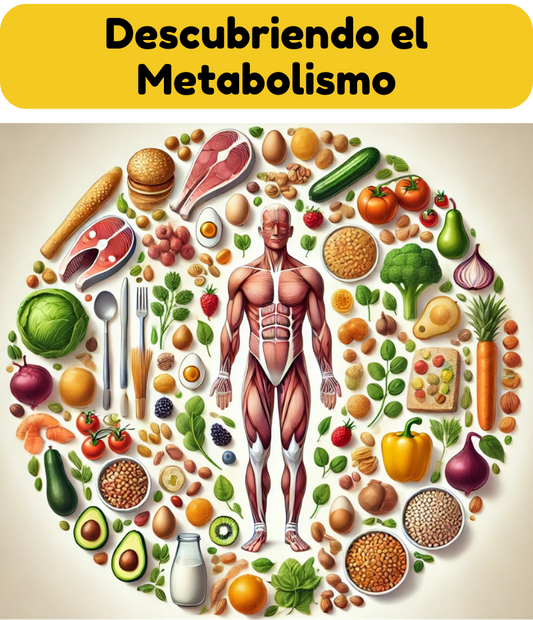 #003 Descubriendo el Metabolismo: La Fuerza Vital de Nuestro Cuerpo