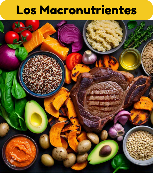 #002 Los Macronutrientes: Pilares de una Nutrición Equilibrada